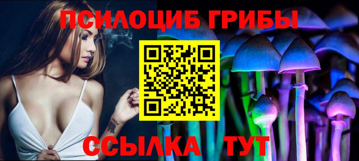 Черкесск  Галлюциногенные грибы мухоморы  Вход с VPN  Псилоцибиновые грибы MAGIC MUSHROOMS 